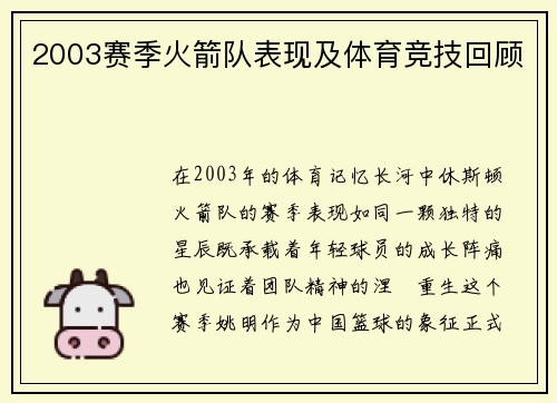 2003赛季火箭队表现及体育竞技回顾